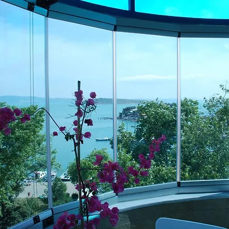 蓝色珍珠公园酒店 酒店 3*