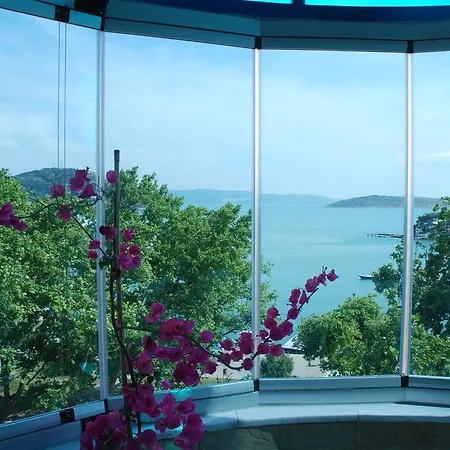 蓝色珍珠公园酒店 酒店 3*